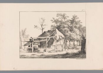 View from the Country