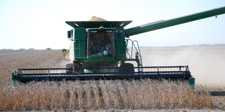 MAHA Report Worries Soybean Industry