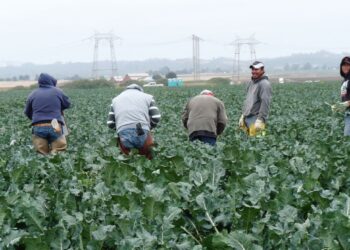 ICE Raid at Omaha Meatpacking Plant Worries Farmers