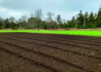 April 2026 • Issue #658