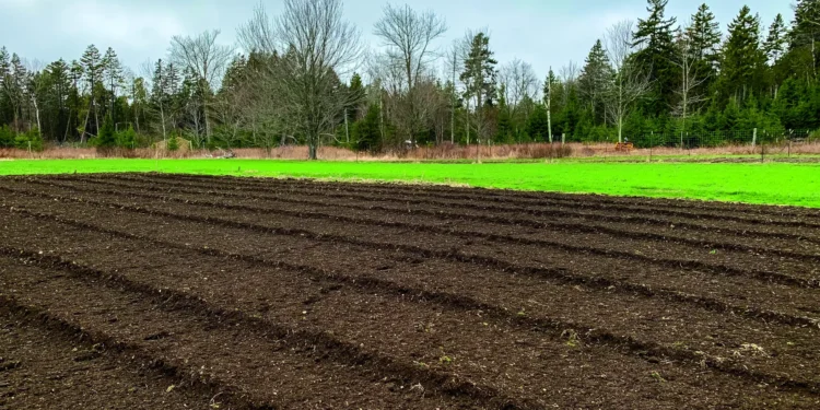 April 2026 • Issue #658