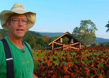 Author photo (Anne Marie Michaels, Flickr)