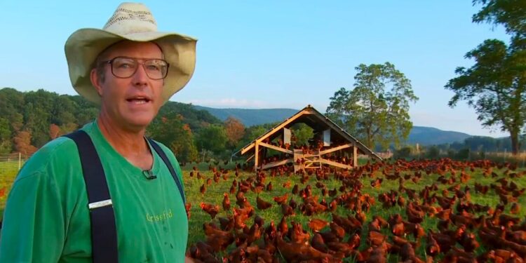 Author photo (Anne Marie Michaels, Flickr)