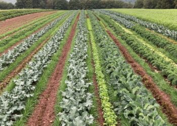 Know Your Costs to Grow