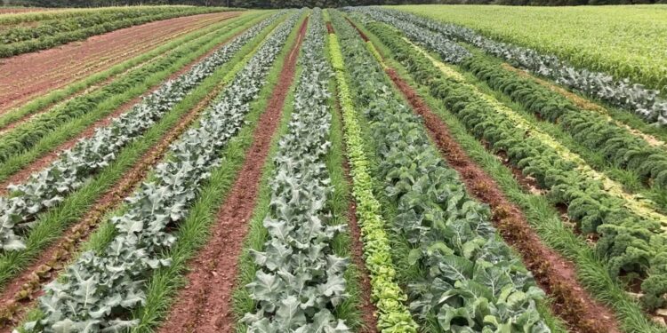 Know Your Costs to Grow