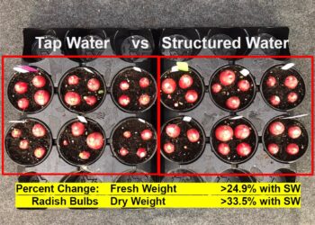 The Vortex of Health
