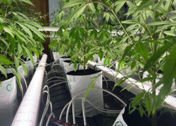 Hide It Under a Bushel?