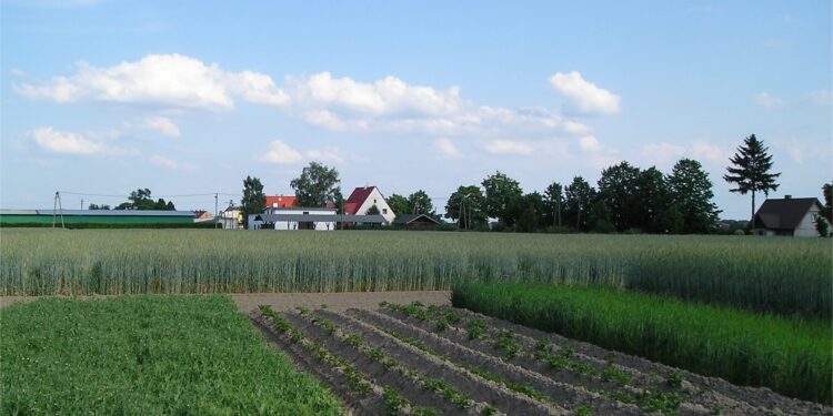 Norfolk rotation (Leslaw Zimny, Wikimedia)