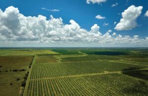 Regenerative Gagriculture
