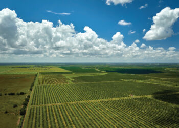 Regenerative Gagriculture