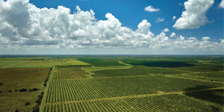 Regenerative Gagriculture