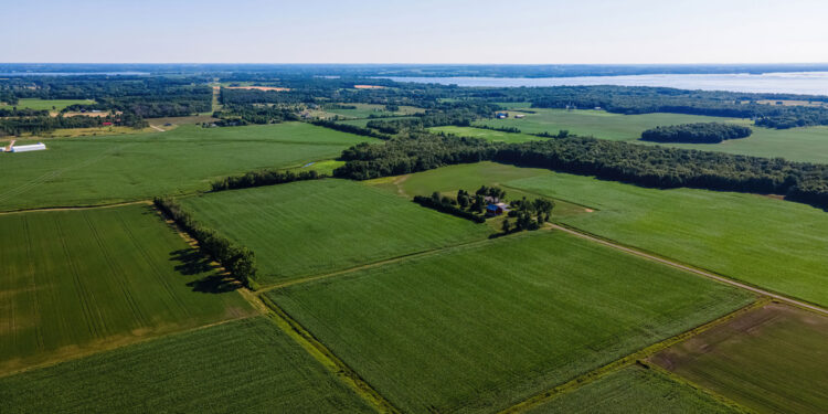 Who Owns American Farmland?