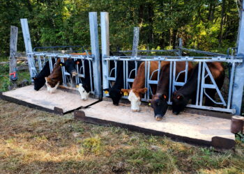 Virtual Fencing for Small-Scale Graziers?