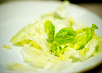 Lettuce Panic
