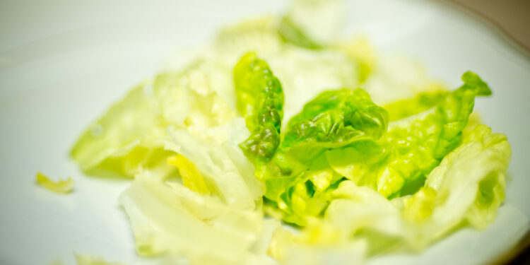 Lettuce Panic