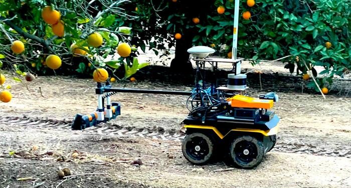 A robot designed to assist with precision irrigation in action in a citrus orchard.