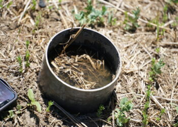 How quickly water enters the soil is one of the most practical indicators of improving health.