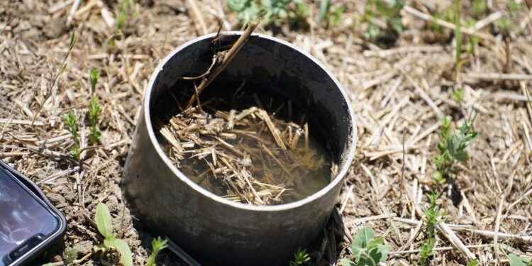 How quickly water enters the soil is one of the most practical indicators of improving health.