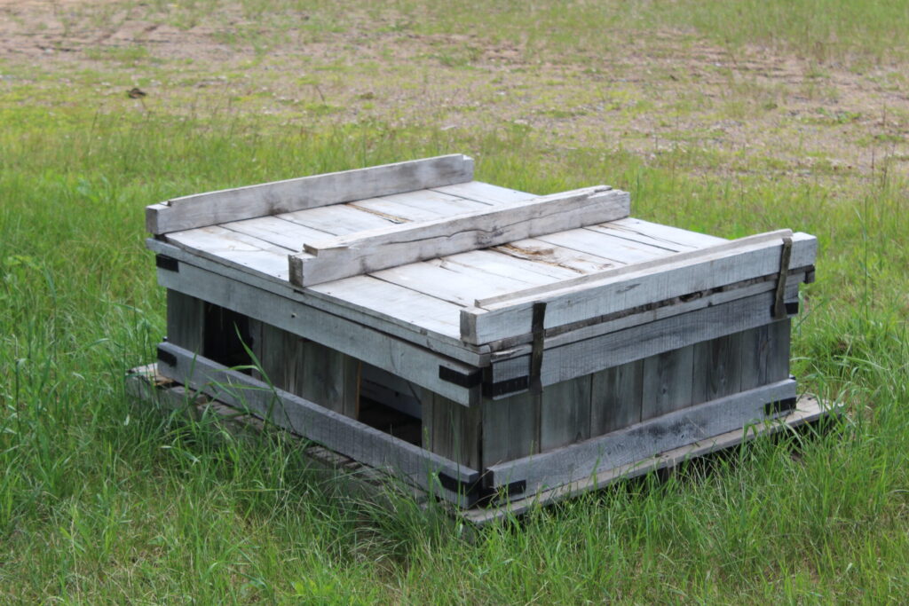 Each of these pallets holds four colonies of bumblebees, which are more reliable for cranberry pollination than honeybees.