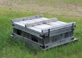 Each of these pallets holds four colonies of bumblebees, which are more reliable for cranberry pollination than honeybees.