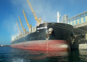 Loading phosphate onto a cargo ship