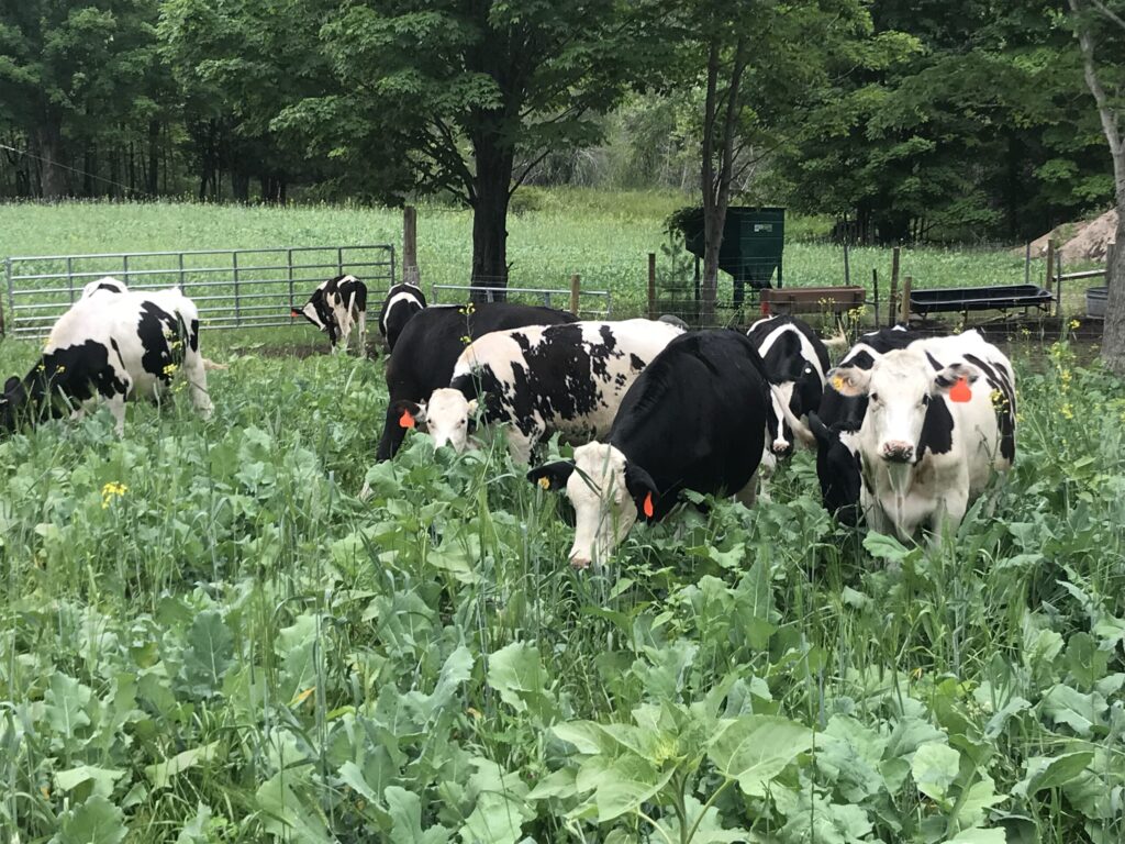 Regenerating the Hard Acres