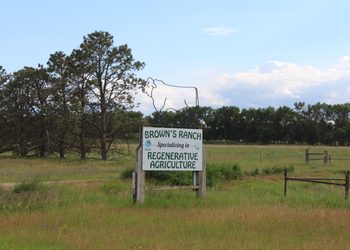 Special Soil