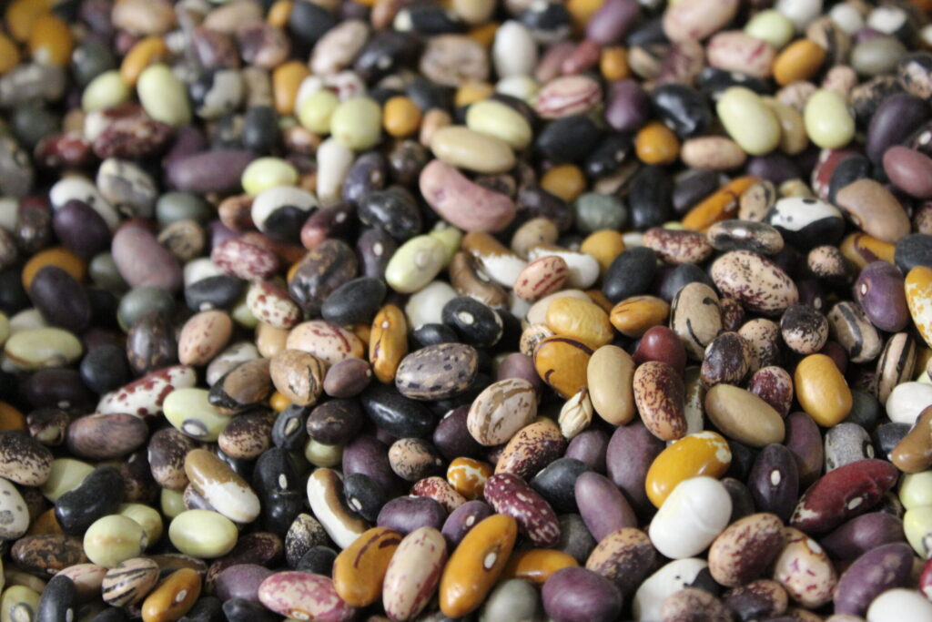 Not Seed Sovereignty